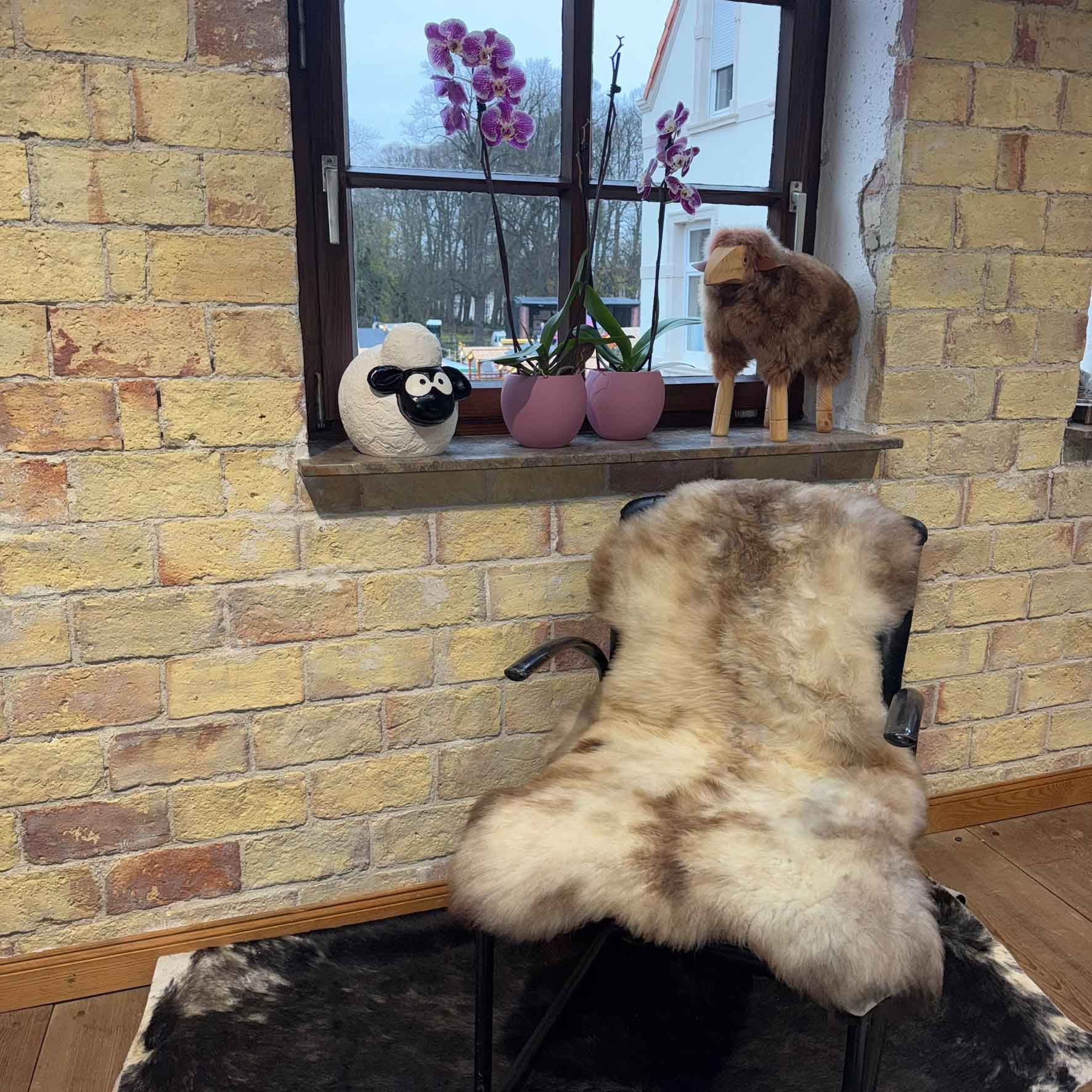 Fell vom Merinoschaf